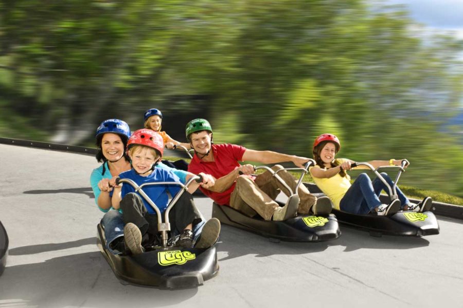 rotorua luge new zealand family vacation packages